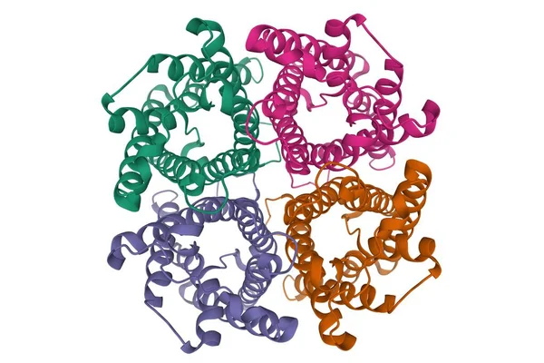 Estrutura Terciária Rato Aquaporin Modelo Desenho Animado Isolado Fundo Branco — Fotografia de Stock