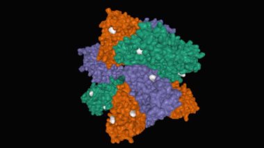 Tropomyosin receptor kinase A (TrkA) in complex with ligand (white), animated 3D surface model, black background