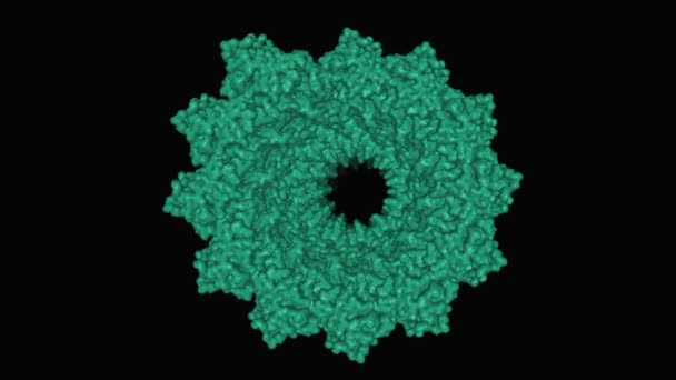 Structure Helical Measles Virus Nucleocapsid Animated Surface Model Black Background — Stok video