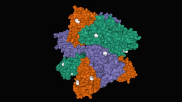 Tropomyosin Rezeptorkinase Trka Komplex Mit Ligand Weiß Animiertes Oberflächenmodell Schwarzer — Stockvideo