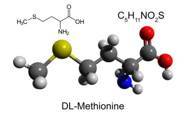 Chemical formula, structural formula and 3D ball-and-stick model of DL-merhionine