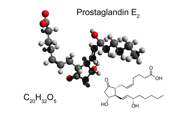 Chemical formula, structural formula and 3D ball-and-stick model of prostaglandin E2 (dinoprostone), white background