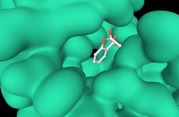 Crystal Structure Complex Formed Group Phospholipase Green Aspirin Model Black — Stock Photo, Image