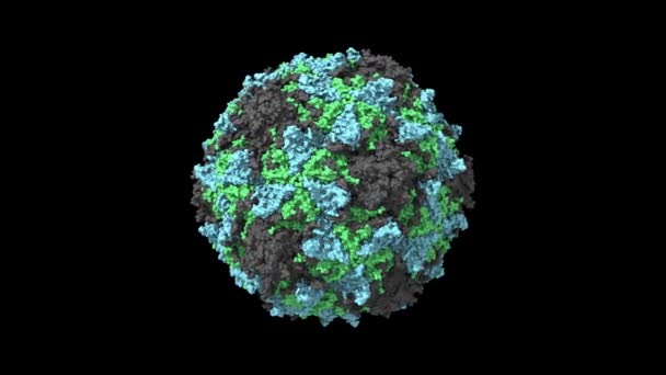 与脊髓灰质炎病毒3型结合的脊髓灰质炎病毒受体的Cryoem结构 3D高斯面模型 黑色背景 — 图库视频影像