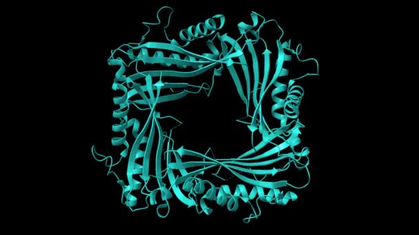 Trpml1 Csatorna Csatlakozójának Konformációs Változásai Nál Animált Rajzfilm Gaussian Felszíni — Stock videók