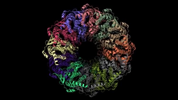エプスタイン バーウイルスポータルの原子構造 構造I アニメーション3D漫画やガウス表面モデル分離 黒の背景 — ストック動画