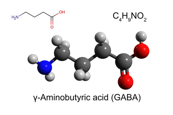 Chemical formula, skeletal formula and 3D ball-and-stick model of -Aminobutyric acid (GABA), a chief inhibitory neurotransmitter in the mammalian central nervous system, white background