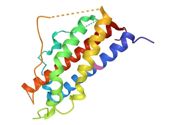 Crystal Struktur Mänskliga Placenta Laktogen Tecknad Modell Vit Bakgrund — Stockfoto