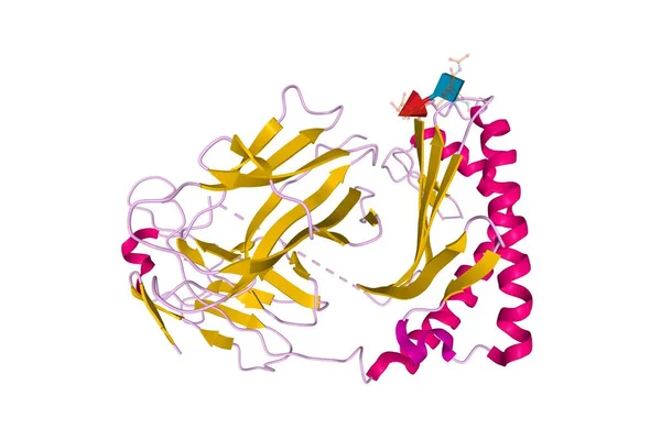 Cd1E — 스톡 사진