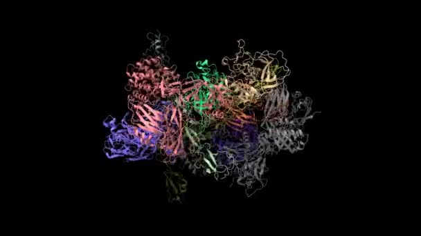 Kompleks Kompleksin Yapısı Animasyon Karikatür Farklı Renk Protein Elementleri Siyah — Stok video