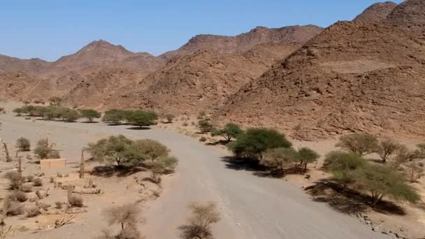 Vista Aerea Drone Che Sorvola Ingresso Nord Wadi Massal Sito — Video Stock