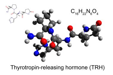 İskelet ve kimyasal formüller, ve insan tirotropin salgılayan hormonun 3 boyutlu top ve sopa modeli, beyaz arka plan.