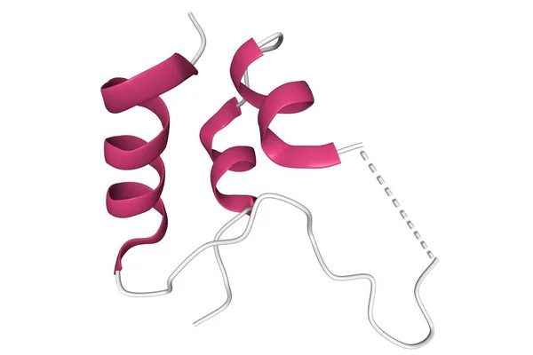 İnsülin benzeri büyüme faktörü 1 'in yapısı (IGF-1), ikincil yapının elemanları ile üçüncü dereceden karikatür modeli, beyaz arkaplan