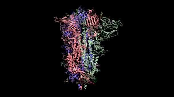 Estructura Del Homotrímero Glicoproteína Espiga Sars Cov Con Residuos Carbohidratos — Vídeos de Stock