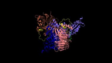 Histone asetiltransferaz kompleksinin kristal yapısı; histone H4 (sarı), histone H3 (yeşil) gösterildi. Animasyon 3D karikatür ve şeffaf Gauss yüzey modeli, siyah arkaplan