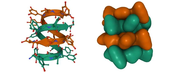 Antibiotic Feglymycin P64 Crystal Form Cartoon Gaussian Surface Models Based — Stock Photo, Image