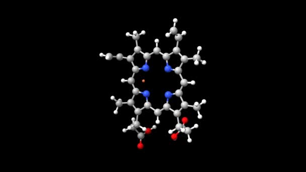 Animado Bola Vara Modelos Enchimento Espacial Heme Heme Mais Abundante — Vídeo de Stock