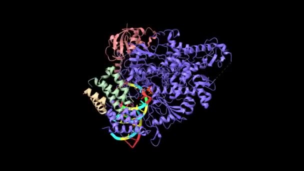 Struktur Von Favipiravir Gebunden Den Replizierenden Polymerase Komplex Von Sars — Stockvideo