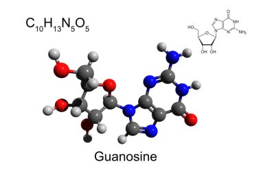 Kimyasal formül, iskelet formülü, ve nükleosit guanozin 'in 3 boyutlu top ve sopa modeli, beyaz arka plan