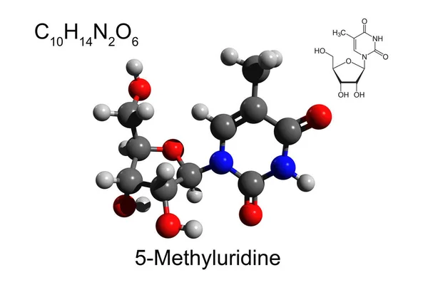 Wzór Chemiczny Formuła Szkieletowa Model Kuli Kija Nukleozydów Metylourydyna Białe — Zdjęcie stockowe