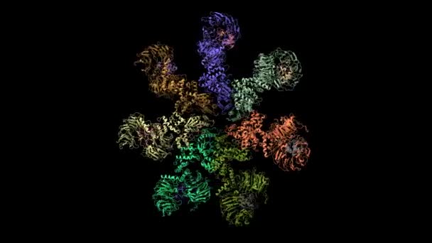 Pdb 3Jbtを基にしたシトクロムCを用いたApaf 1アポトーシスの構造 アニメーション3D漫画とガウス曲面モデル 黒の背景 — ストック動画