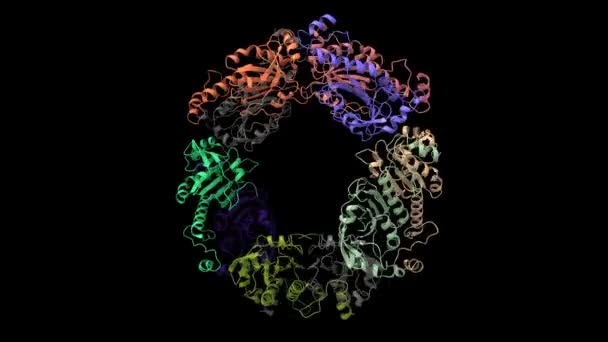 Struktura Zredukowanej Peroksydoksyny Ludzkiej Animowane Modele Kreskówek Powierzchni Gaussa Schemat — Wideo stockowe