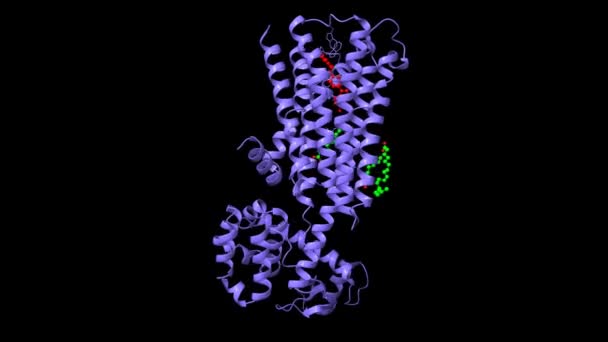 Struktura Dopaminového Receptoru Vázaného Atypický Antipsychotický Lék Risperidon Červený Kyselinu — Stock video