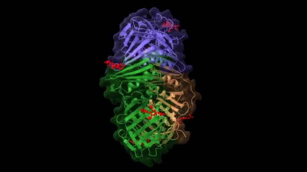 Pdb 3Wgw Temel Alınarak Küçük Bir Molekül Inhibitörü Karikatür Gauss — Stok video