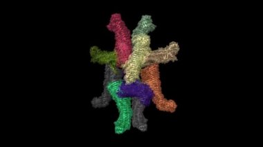 Helicobacter pillori vakumlama sitotoksin A Oligomeric Assembblies 2a-e. Animasyon 3D karikatür ve Gauss yüzey modelleri, zincir kimlik şeması, PDB 6nyg, siyah arkaplan