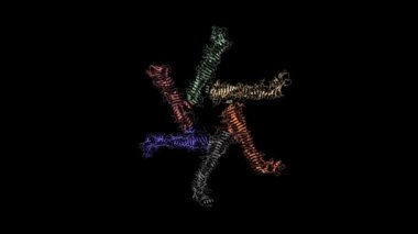 Helicobacter pylori vakumlama sitotoksin A Oligomeric Assembly 1. Animasyon 3D karikatür ve Gauss yüzey modelleri, zincir kimlik şeması, PDB 6nyf, siyah arkaplan