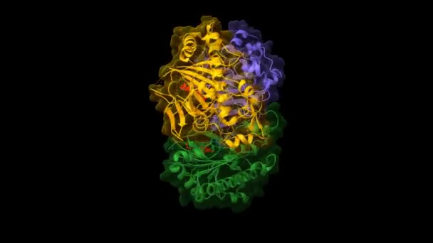 Deacetoxycephalosporin Synthase Complexed Penicillin Red Animated Cartoon Gaussian Surface Models — Stock Video