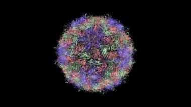 İnsan kardiyovirüs SAFV-3 'ün kristal yapısı, animasyon 3D karikatür ve Gauss yüzey modeli, PDB 5cfc tabanlı zincir kimlik şeması, siyah arkaplan