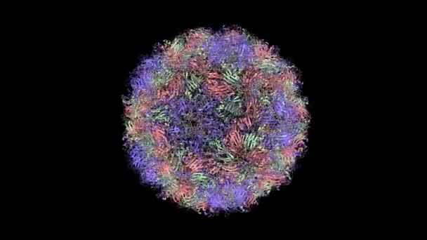 Estrutura Cristal Enterovirus Humano Desenhos Animados Modelo Superfície Gaussiana Esquema — Vídeo de Stock