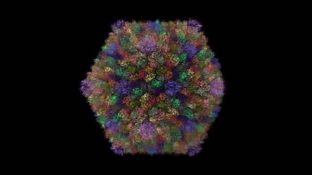 Sputnik病毒噬菌体的结构 动画3D卡通和高斯曲面模型 链状色系 Pdb 3J26 黑色背景 — 图库视频影像