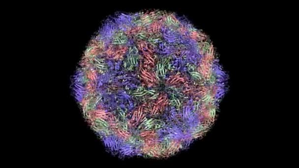 Structure Cristalline Virus Humain Hépatite Dessin Animé Modèle Surface Gaussien — Video