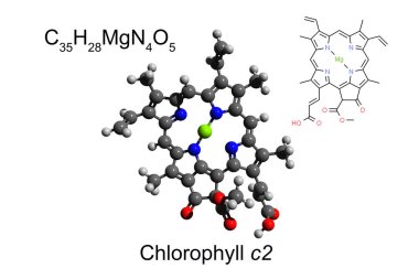 Kimyasal formül, iskelet formülü ve pigment klorofil a 'nın 3 boyutlu top ve sopa modeli.