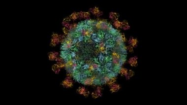 Tek zincir antikor R50 'ye (morumsu ve turuncu) bağlı ayak ve ağız hastalığı virüsü, animasyon 3D karikatür ve Gauss yüzey modeli, PDB 7d3f, siyah arkaplan