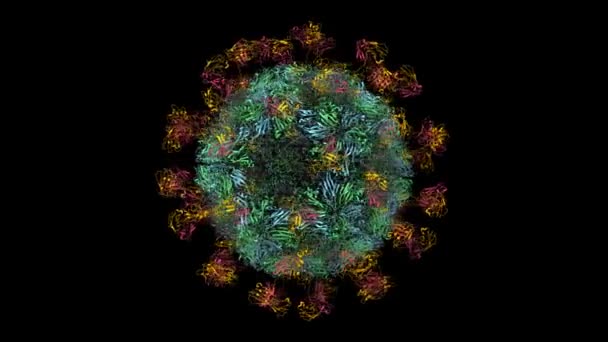 Virus Fiebre Aftosa Azul Verde Unido Anticuerpo Fragmento Cadena Única — Vídeos de Stock