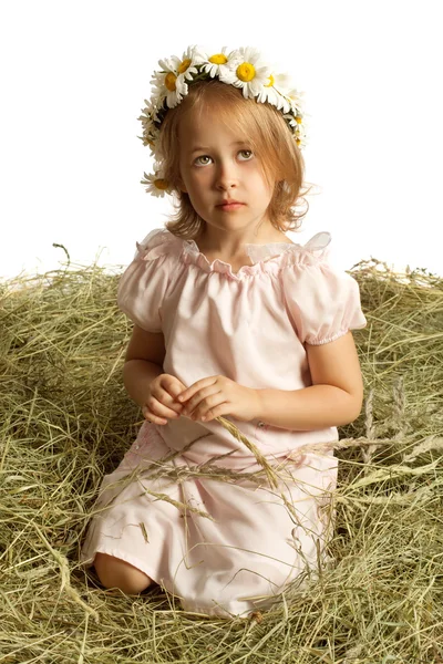 The girl sitting on the hay — Stock Photo, Image