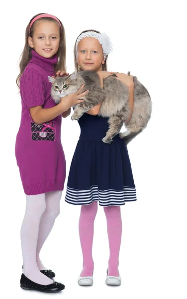 Meninas brincam com um gato — Fotografia de Stock