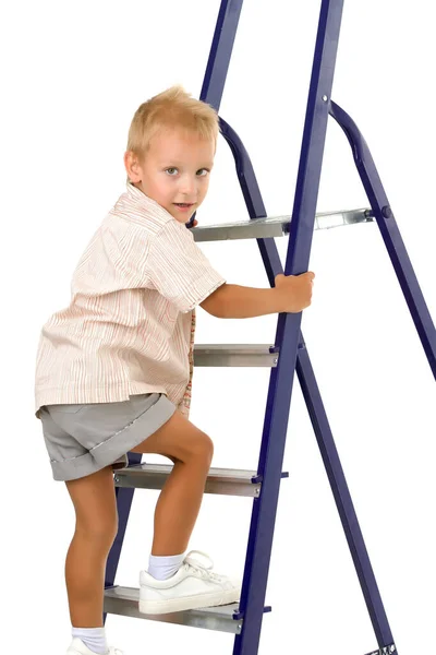 Cheerful little boy climbed a stepladder on the stairs. — Stock Photo, Image