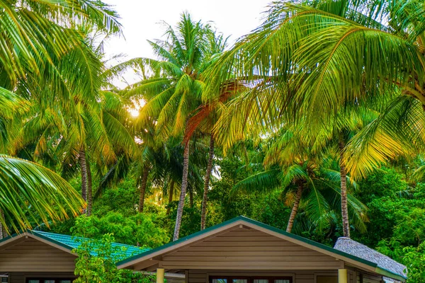 Tropischer Bungalow am traumhaften Strand mit Palme — Stockfoto