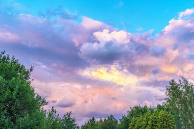 Mavi gökyüzü ve çayır ağacı ile bulut. Yaz posteri için sade manzara.