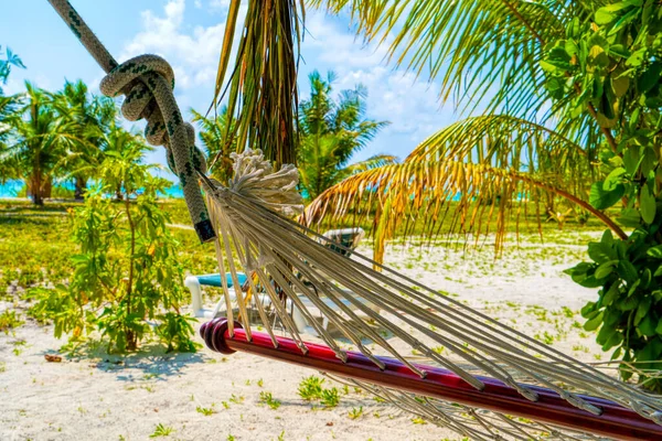 Lege hangmat tussen palmbomen op zandstrand — Stockfoto