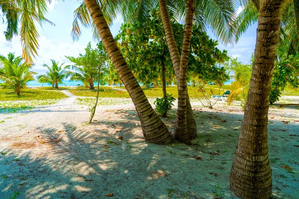 Sillas de salón en una hermosa playa tropical en Maldivas — Foto de Stock