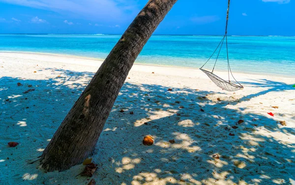 Hamaca vacía entre palmeras en la playa de arena —  Fotos de Stock