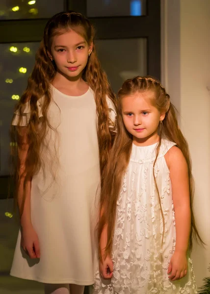 Duas meninas perto da árvore de Natal. Férias, conceito de ano novo. — Fotografia de Stock