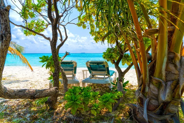Liegestühle an einem wunderschönen tropischen Strand auf den Malediven — Stockfoto