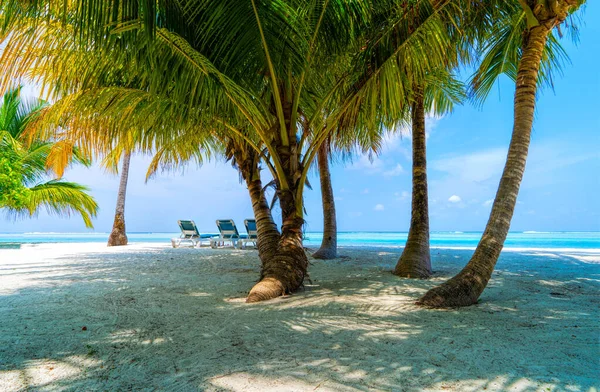 Liegestühle an einem wunderschönen tropischen Strand auf den Malediven — Stockfoto