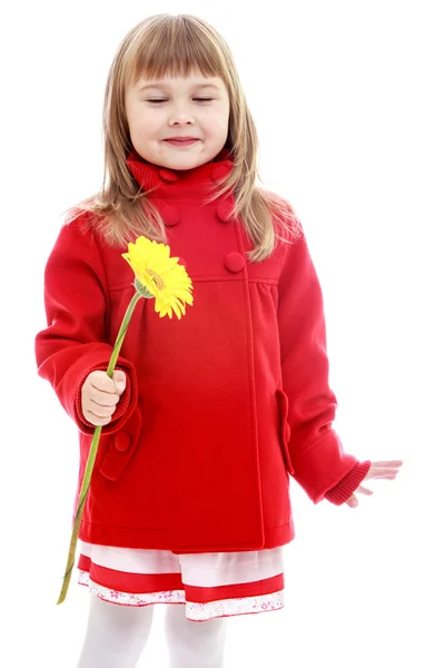 Affascinante bambina con un cappotto rosso — Foto Stock